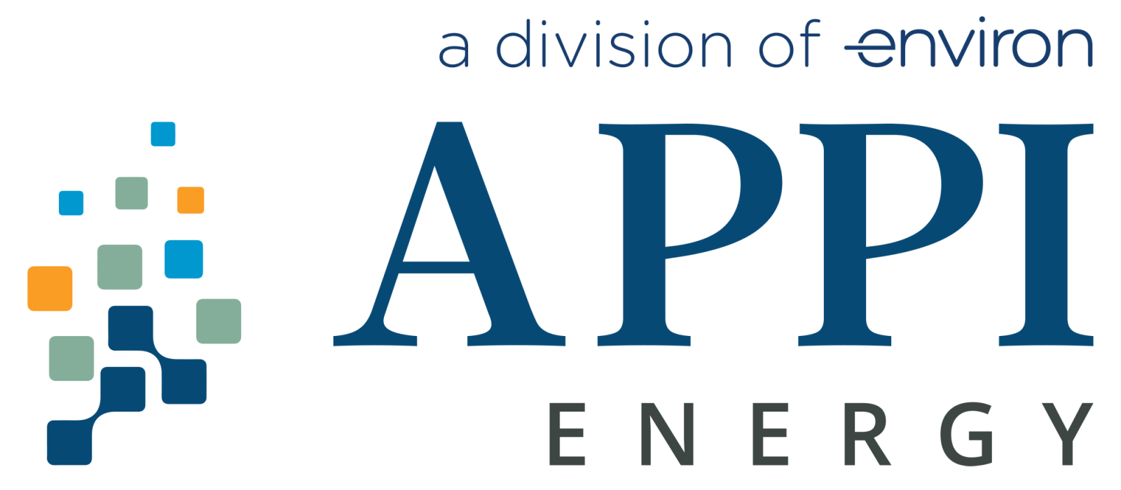 APPI logo