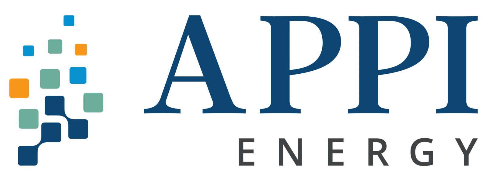 APPI logo