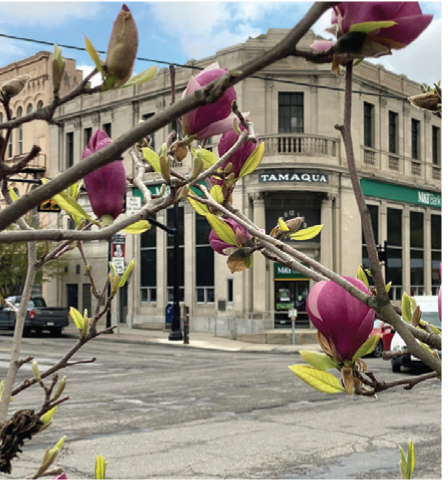 Member Spotlight Photo